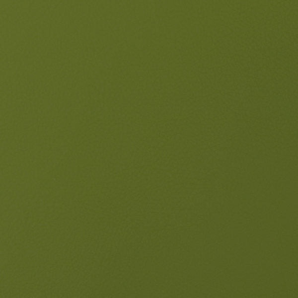 54" Nassimi™ Envision Kiwi (016) Faux Leather Fabric