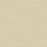 54" Enduratex™ Lighthouse Ivory (4920) Vinyl Fabric