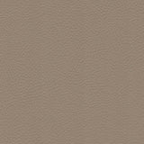 54" Morbern™ Extraordinaire Cream (105) Vinyl Fabric
