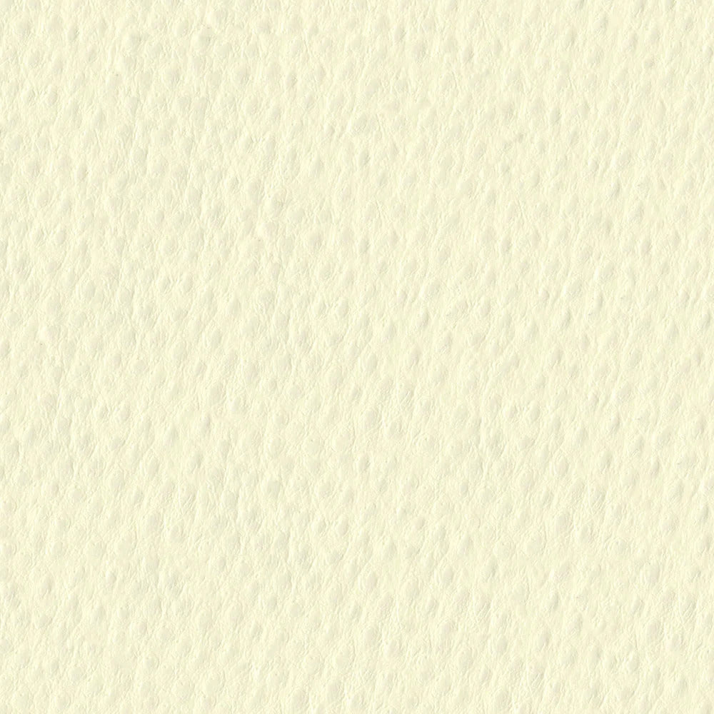 54" Nassimi™ Phoenix Snowflake (012) Vinyl Fabric