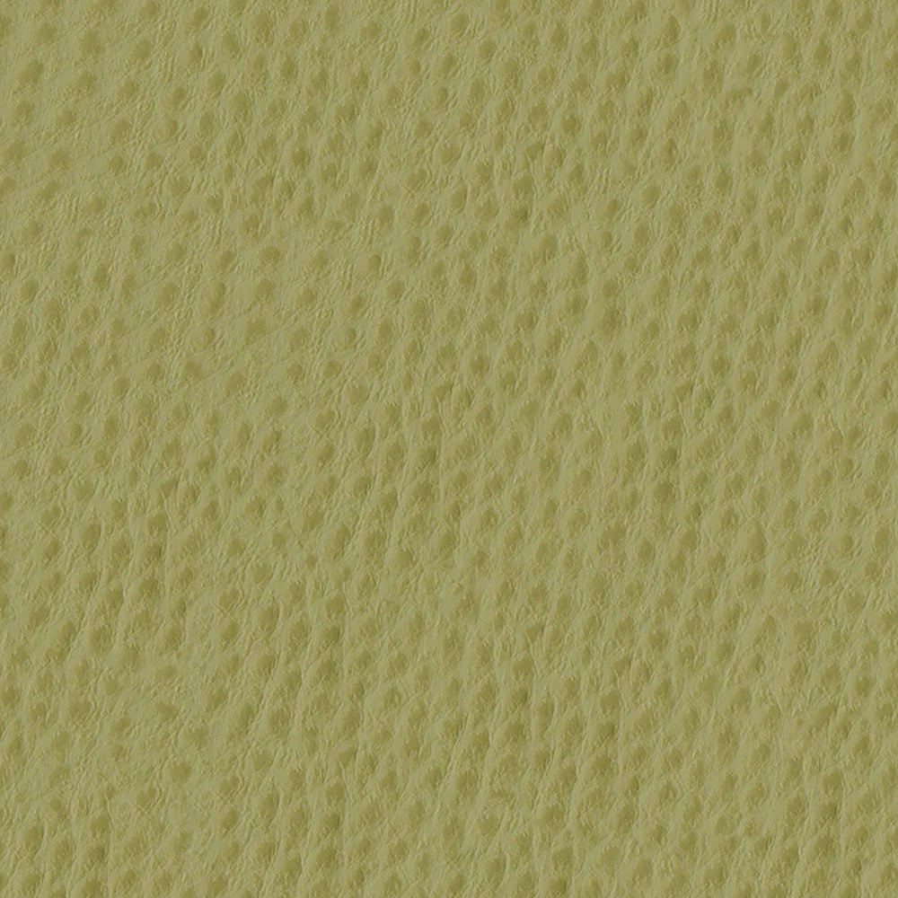 54" Nassimi™ Phoenix Willow (013) Vinyl Fabric
