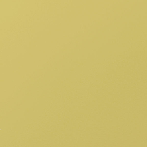 54" Nassimi™ Envision Polenta (027) Faux Leather Fabric