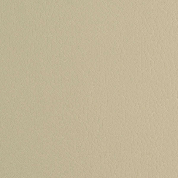 54" Nassimi™ Envision Rice (029) Faux Leather Fabric