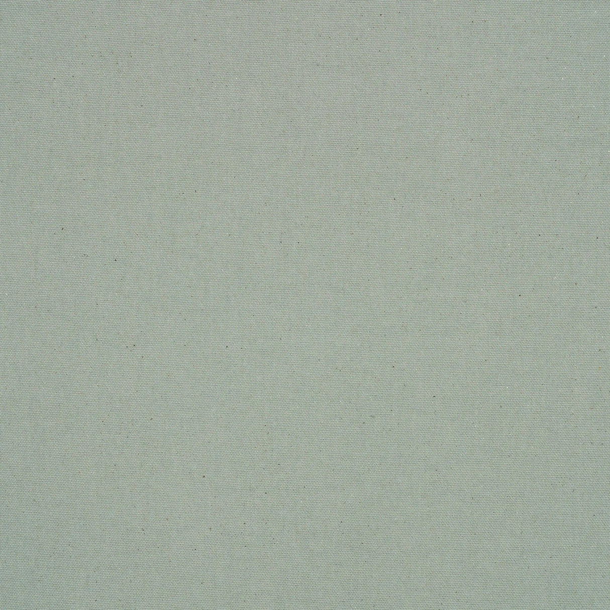 SUNFORGER® Pearl Gray 10.10oz Treated Cotton Canvas (35" Wide)
