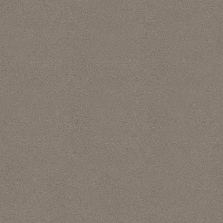 54" Spradling® Whisper Fawn (2150) Vinyl Fabric