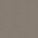 54" Spradling® Whisper Fawn (2150) Vinyl Fabric