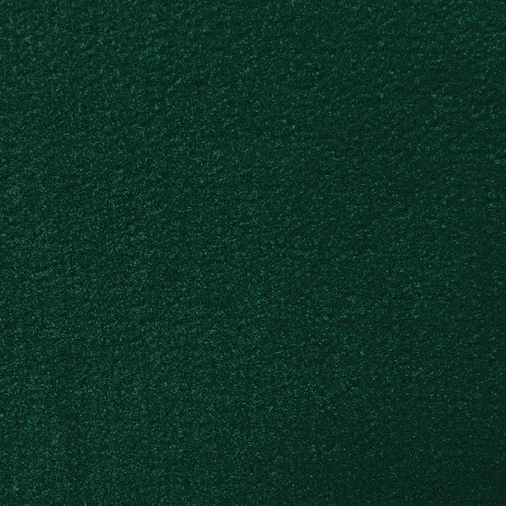 Bayshore Marine-Grade Carpet - Forest Green