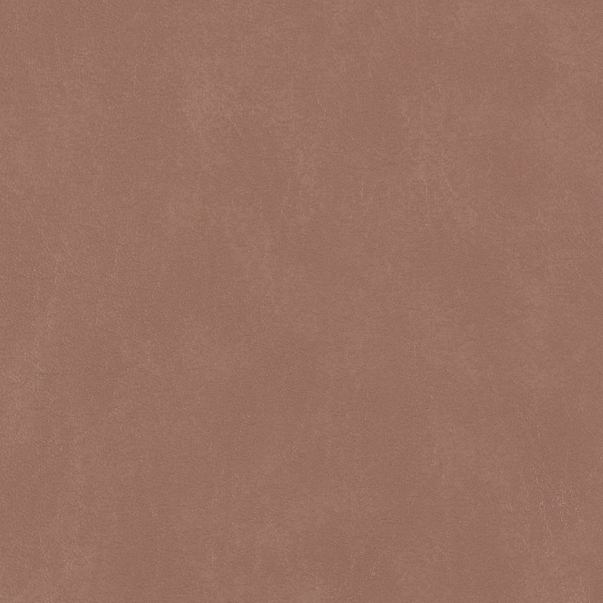 54" Morbern™ Biscayne Vinyl Fabric — Buck Image