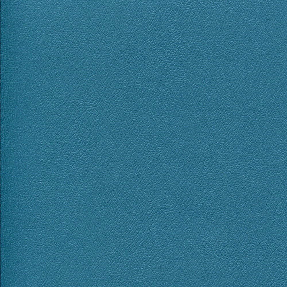 54" Enduratex™ Independence Cabana Boy (8758) Vinyl Fabric