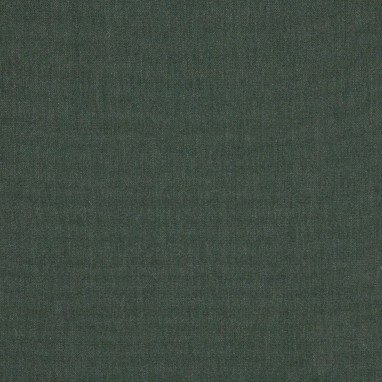54" Sunbrella® Emerge Cast Ivy (48141-0000) Upholstery Fabric