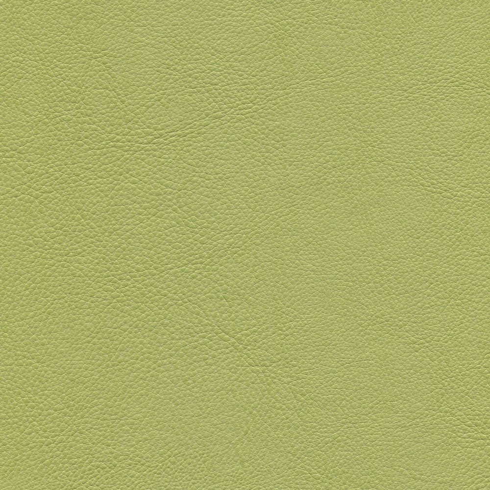 54" Enduratex™ Aspirations Jessamy (ASP1000-NFR) Vinyl Fabric