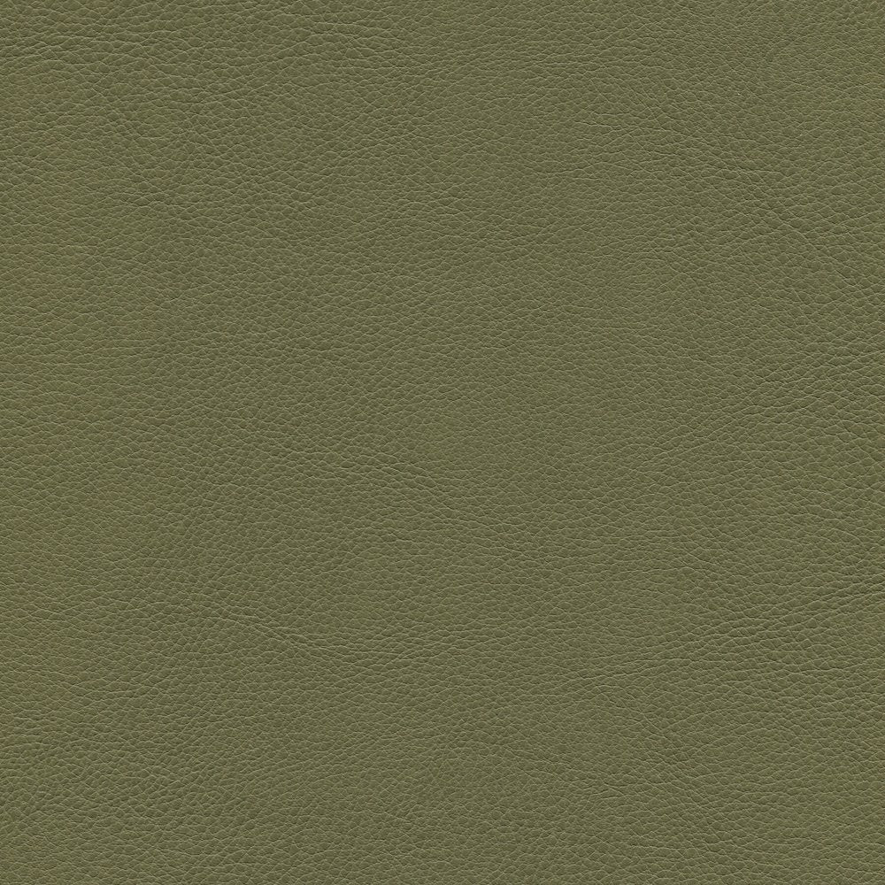 54" Enduratex™ Aspirations Leek (ASP1100-NFR) Vinyl Fabric