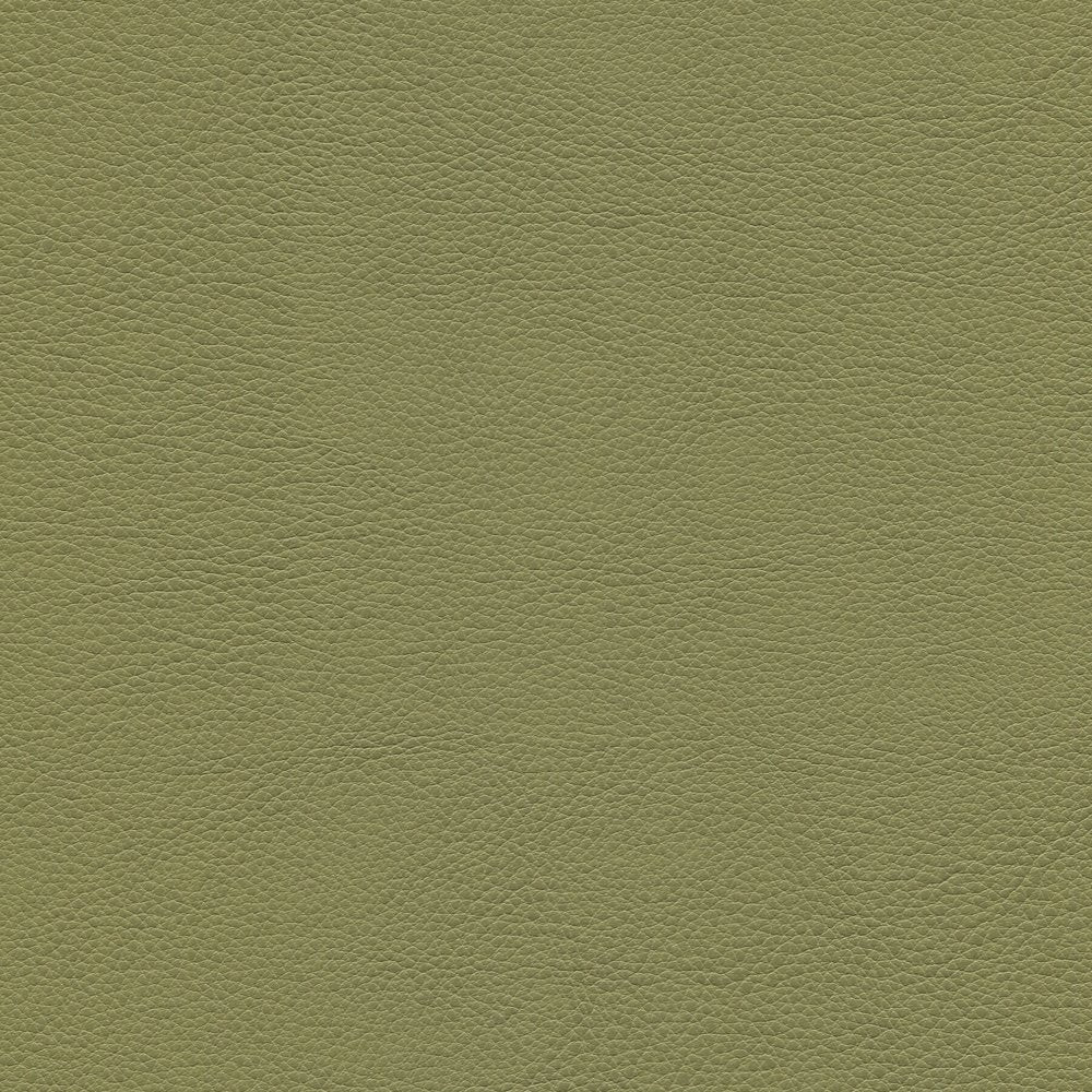 54" Enduratex™ Aspirations Olivareous (ASP1400-NFR) Vinyl Fabric