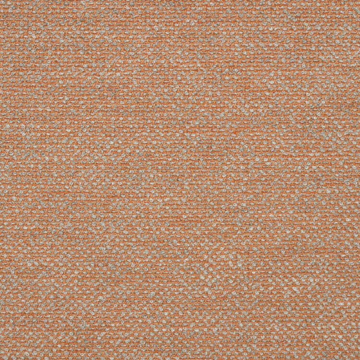 54" Sunbrella® Nurture Clay (42102-0010) Upholstery Fabric